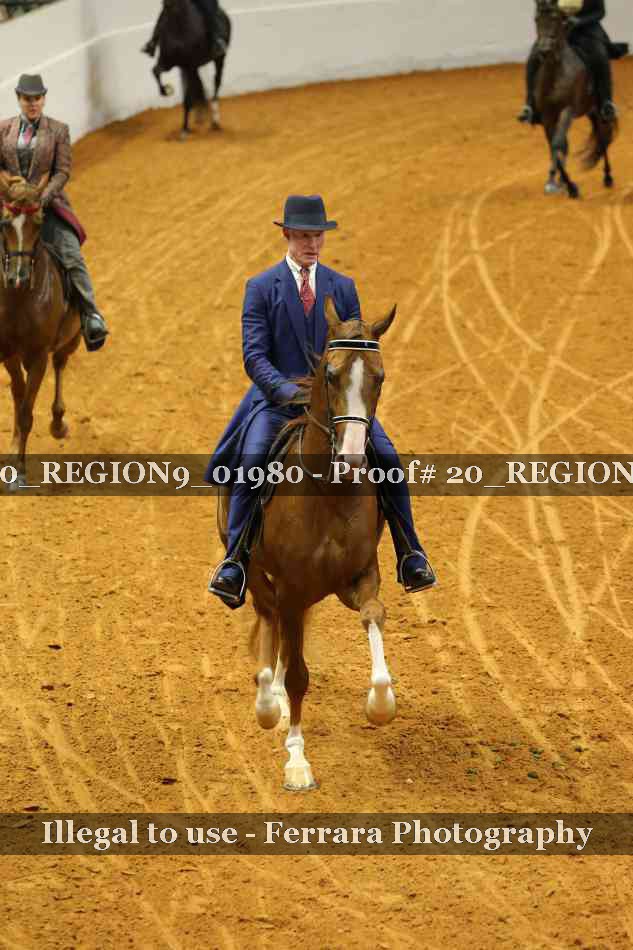 Proof 20_REGION9_01980