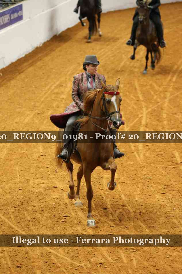 Proof 20_REGION9_01981