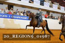 20_REGION9_01987 proof