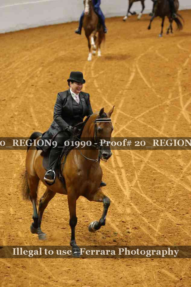 Proof 20_REGION9_01990