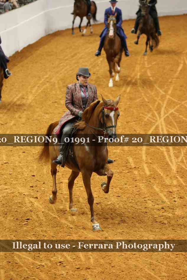 Proof 20_REGION9_01991