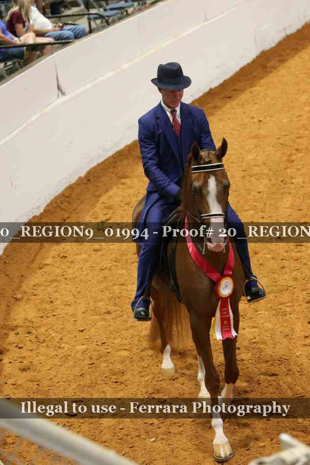 Proof 20_REGION9_01994