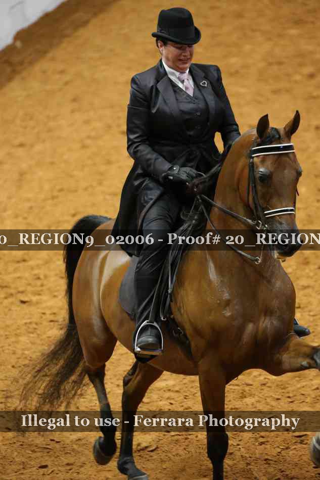 Proof 20_REGION9_02006