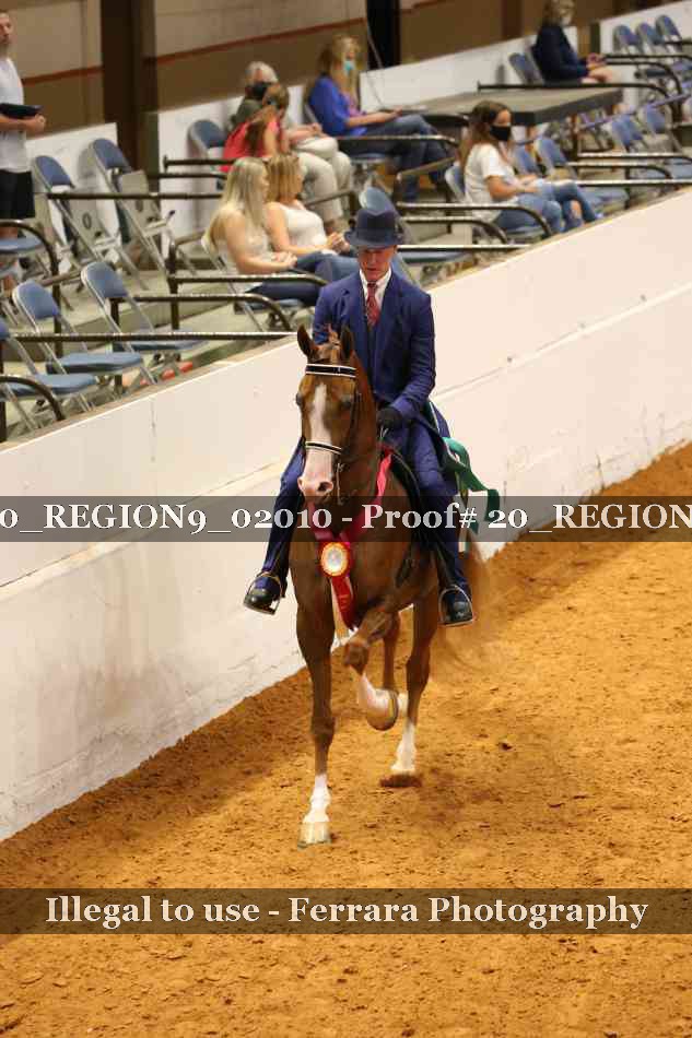 Proof 20_REGION9_02010