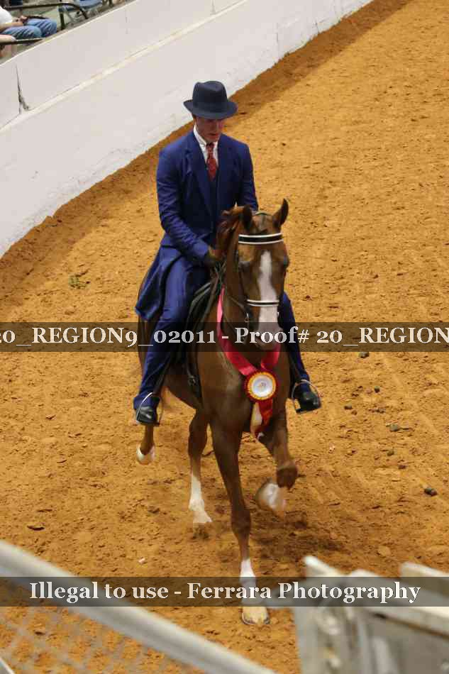 Proof 20_REGION9_02011