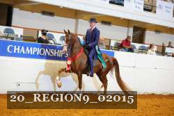 20_REGION9_02015 proof