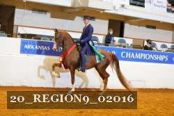 20_REGION9_02016 proof