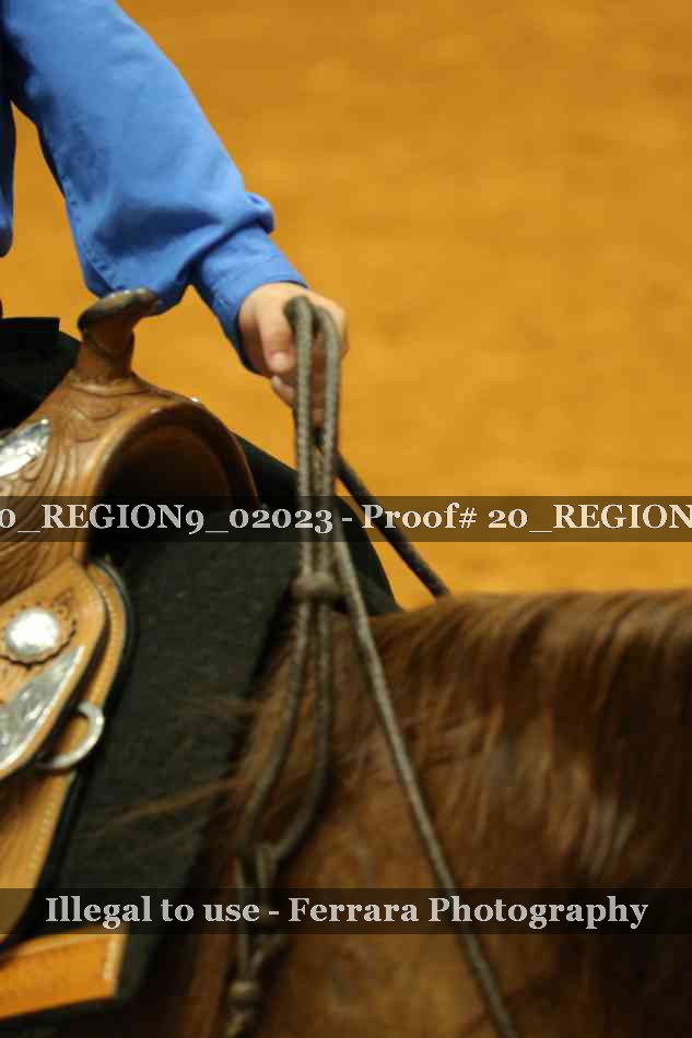 Proof 20_REGION9_02023