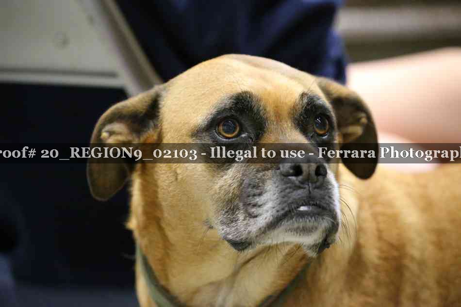 Proof 20_REGION9_02103