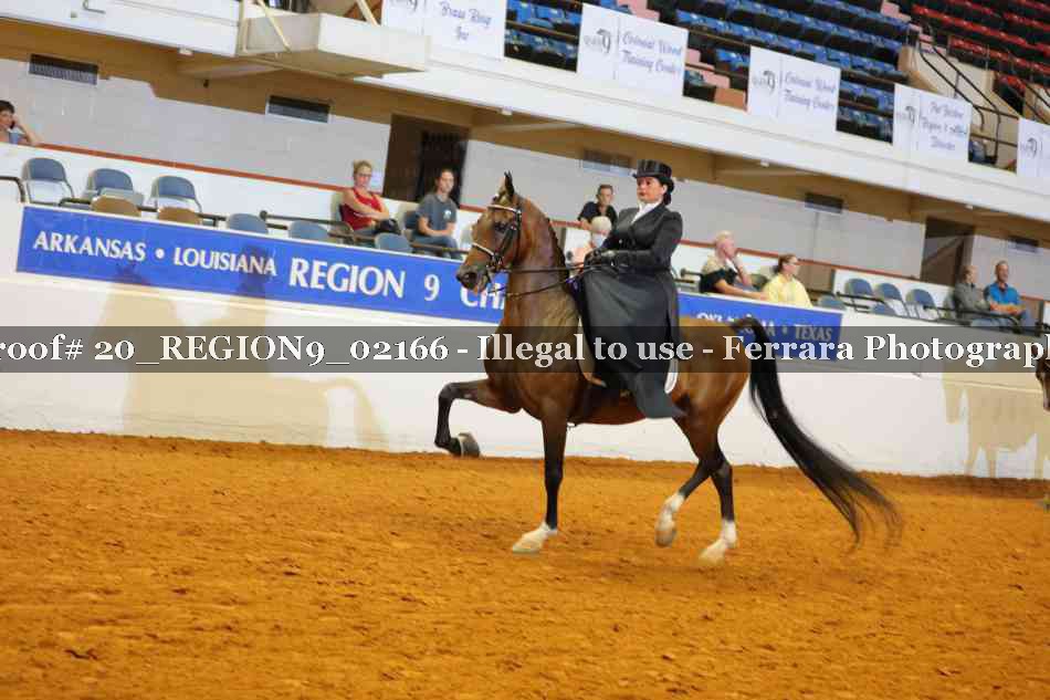 Proof 20_REGION9_02166