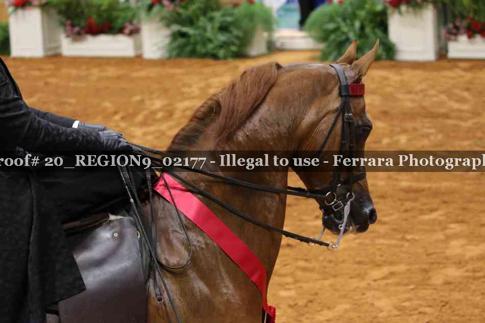 Proof 20_REGION9_02177