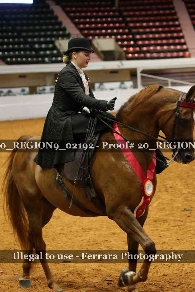 Proof 20_REGION9_02192