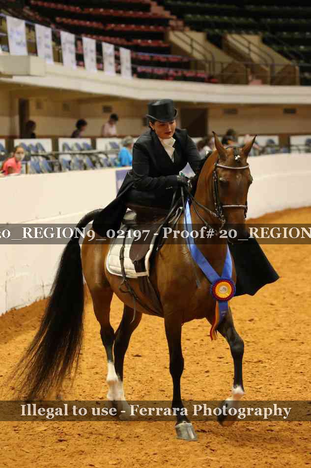 Proof 20_REGION9_02197