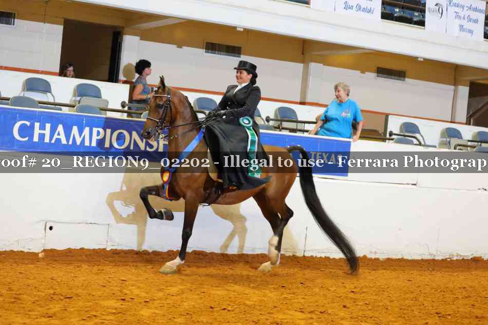 Proof 20_REGION9_02202