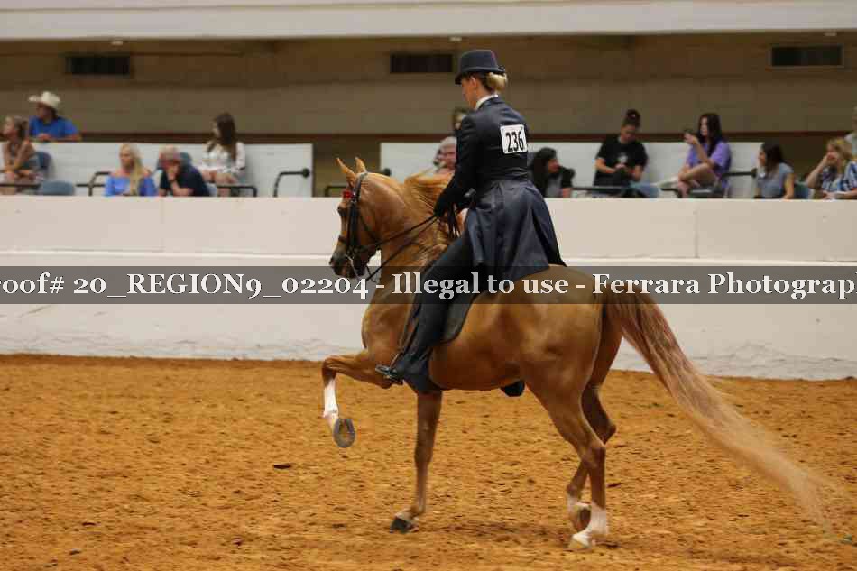 Proof 20_REGION9_02204