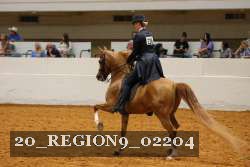 20_REGION9_02204 proof