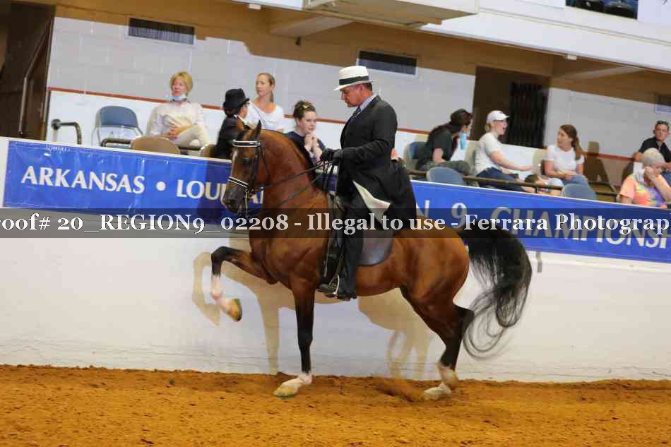 Proof 20_REGION9_02208