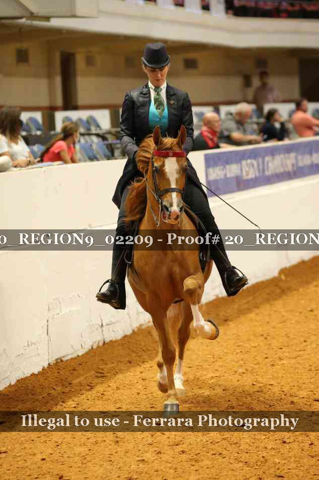 Proof 20_REGION9_02209