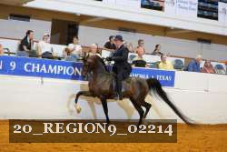 20_REGION9_02214 proof