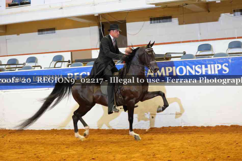 Proof 20_REGION9_02217