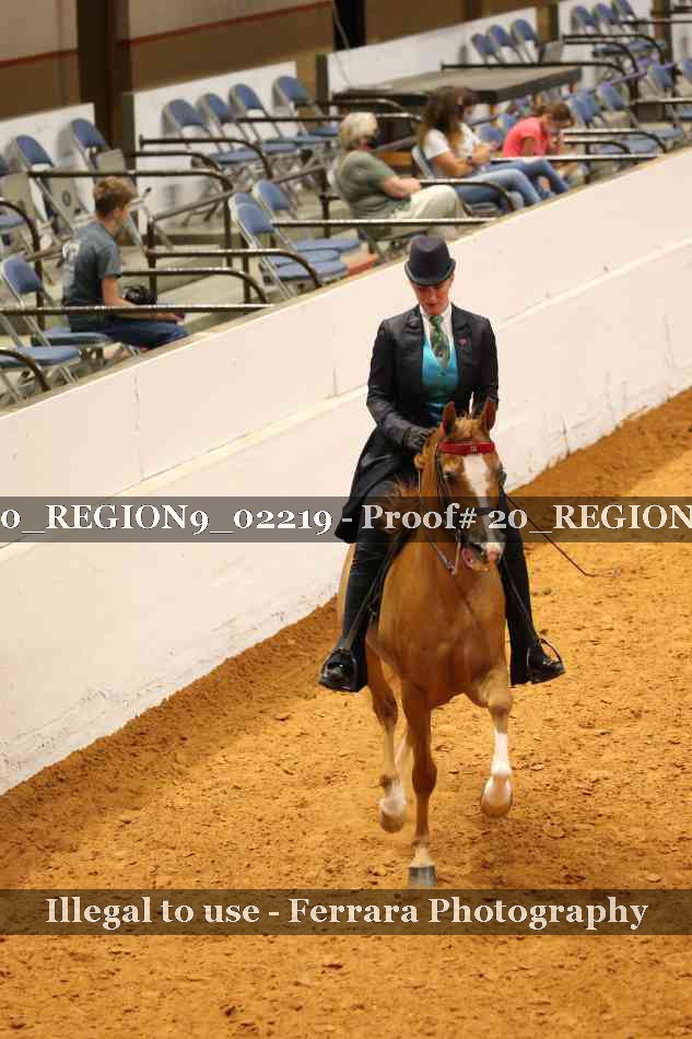 Proof 20_REGION9_02219