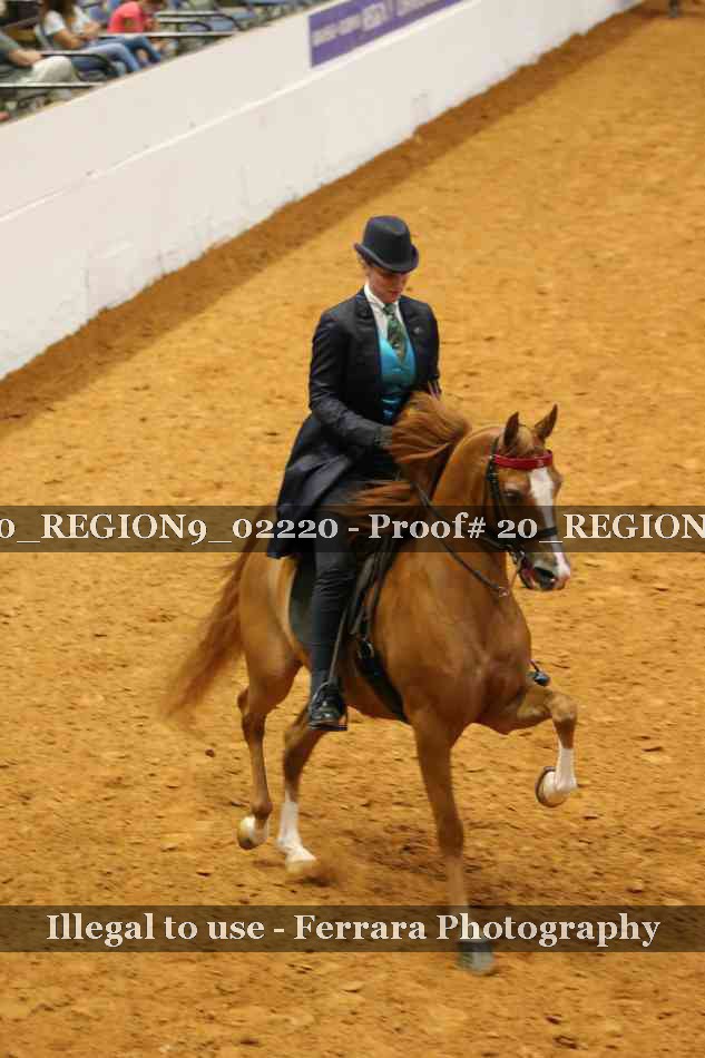 Proof 20_REGION9_02220