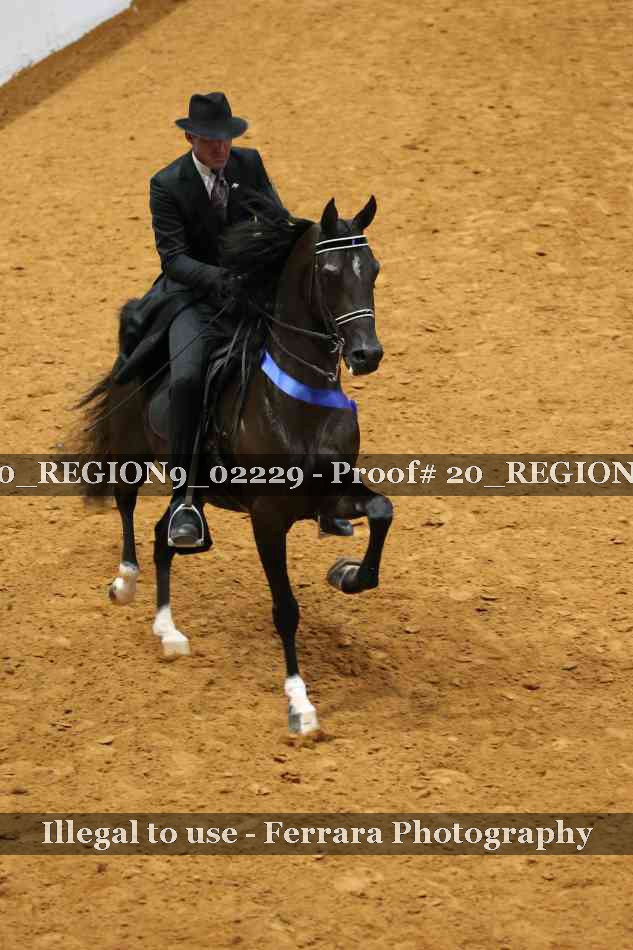 Proof 20_REGION9_02229