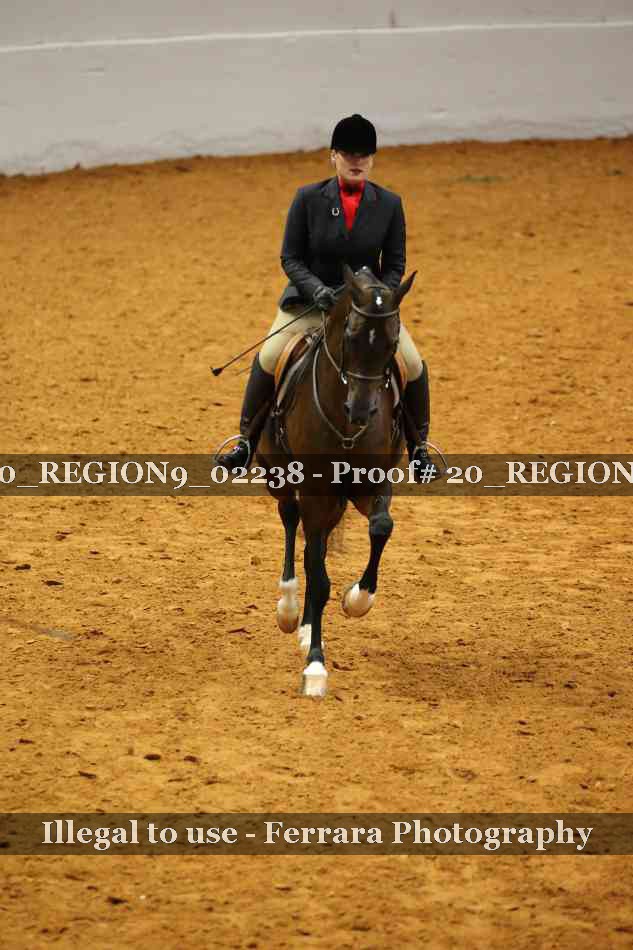 Proof 20_REGION9_02238