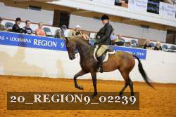 20_REGION9_02239 proof