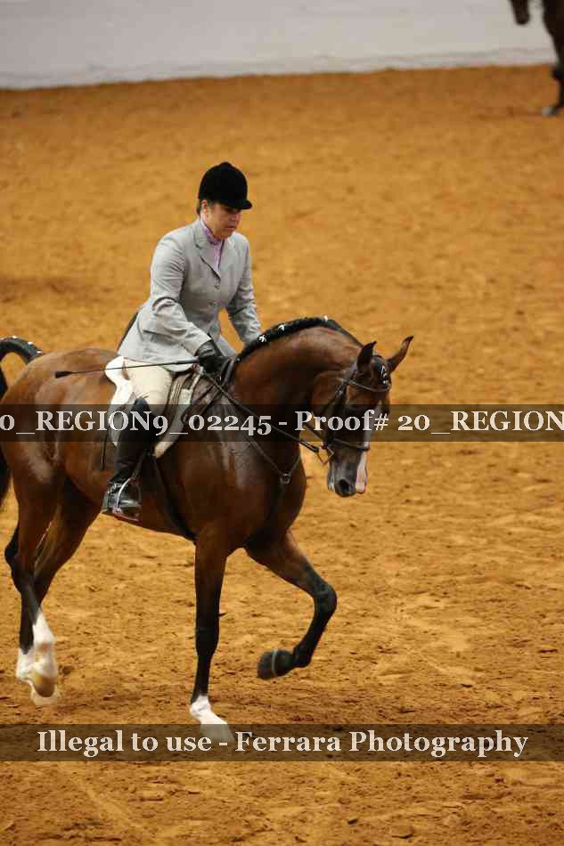 Proof 20_REGION9_02245