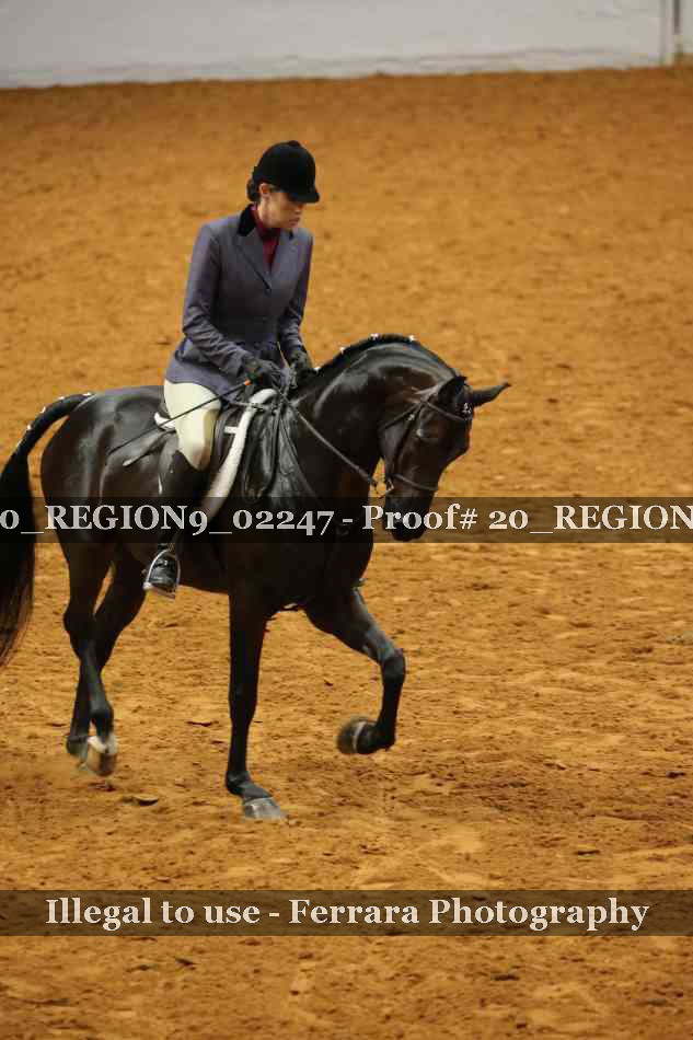 Proof 20_REGION9_02247