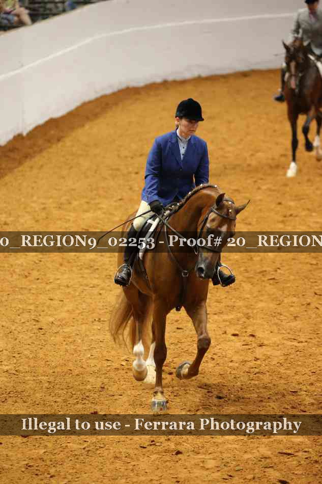 Proof 20_REGION9_02253