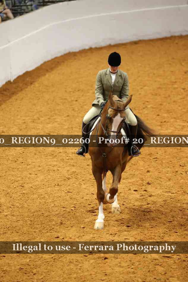 Proof 20_REGION9_02260