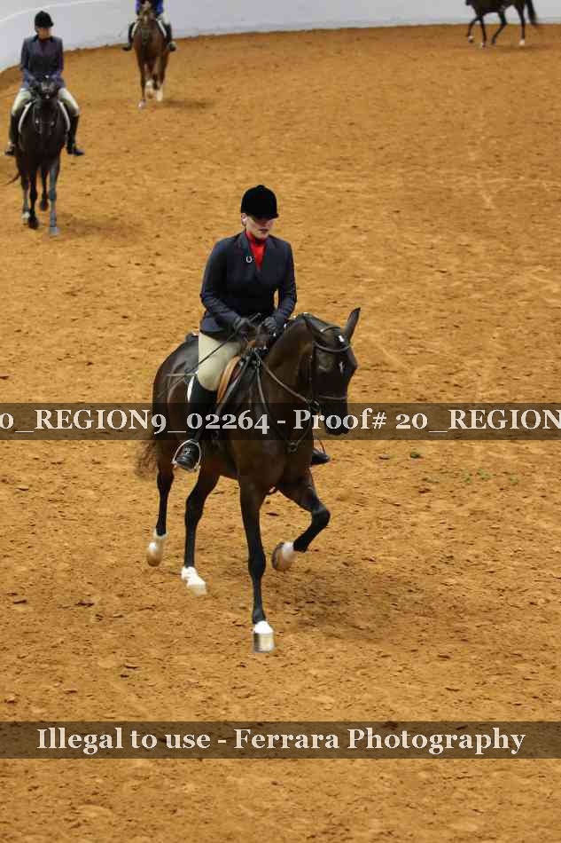Proof 20_REGION9_02264