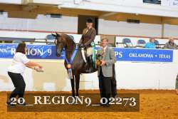 20_REGION9_02273 proof