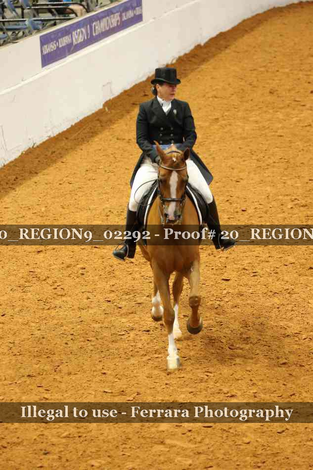 Proof 20_REGION9_02292