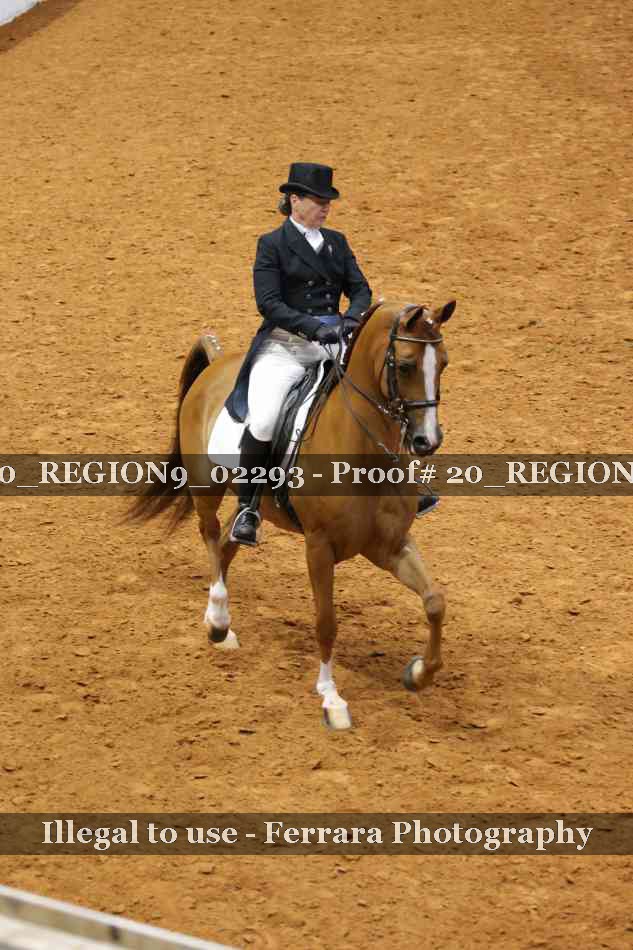 Proof 20_REGION9_02293