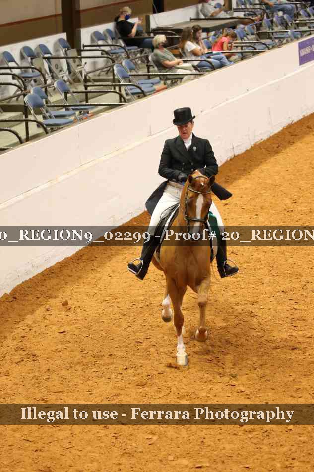 Proof 20_REGION9_02299