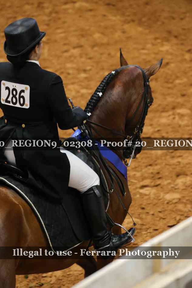 Proof 20_REGION9_02308