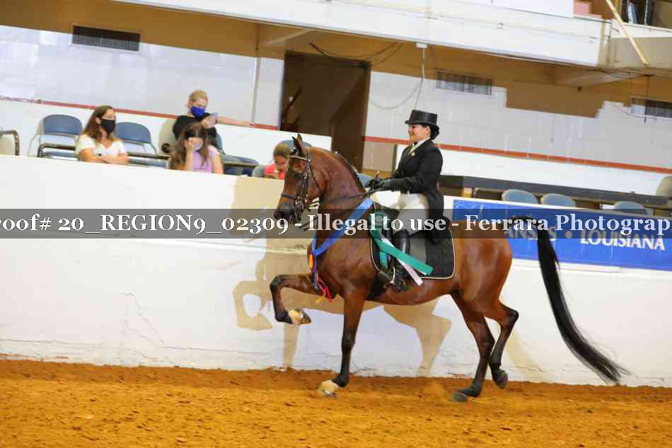 Proof 20_REGION9_02309