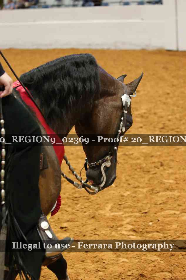 Proof 20_REGION9_02369