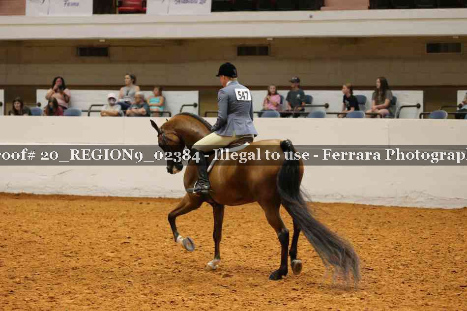 Proof 20_REGION9_02384