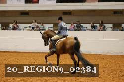 20_REGION9_02384 proof