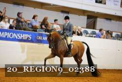 20_REGION9_02388 proof