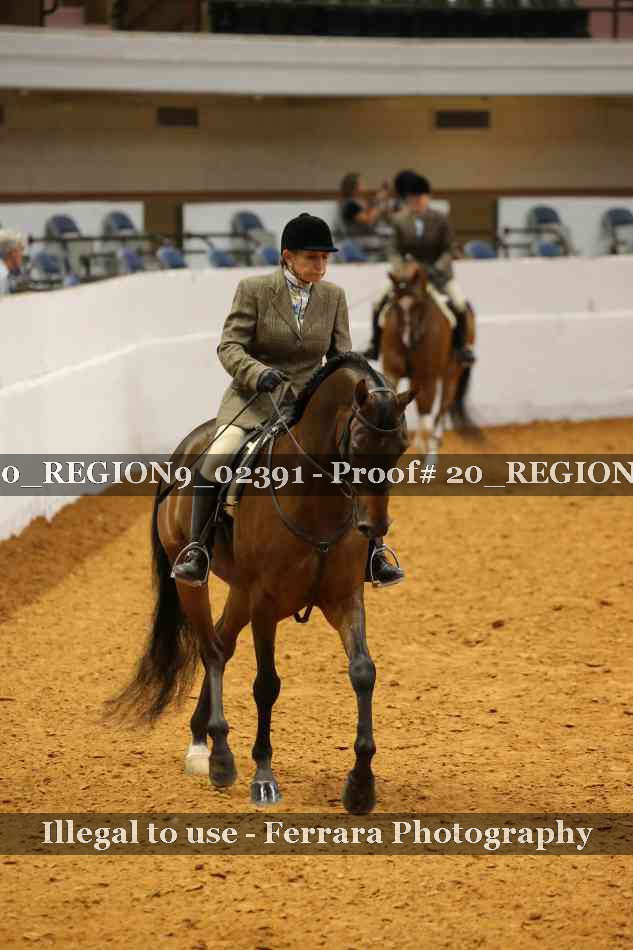 Proof 20_REGION9_02391