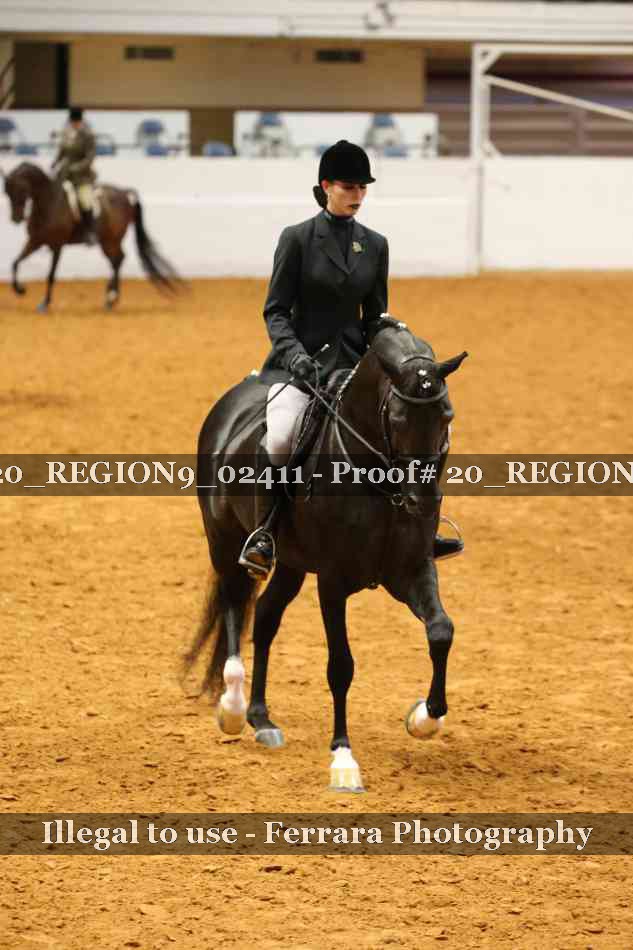 Proof 20_REGION9_02411