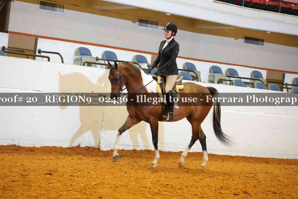 Proof 20_REGION9_02436