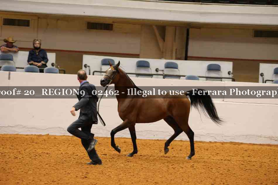 Proof 20_REGION9_02462