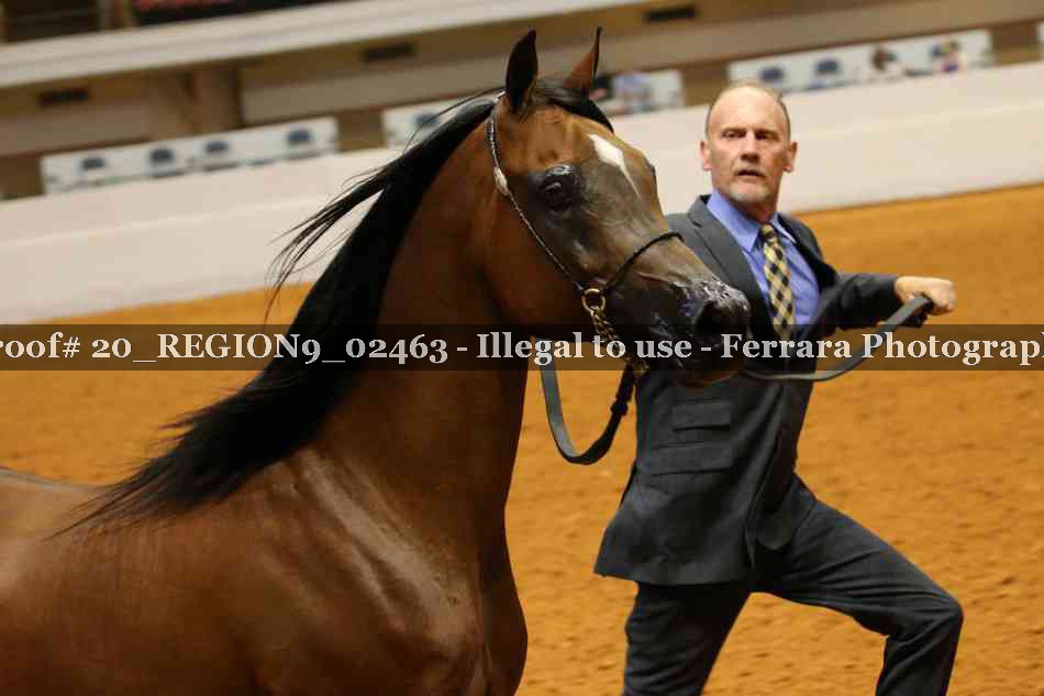 Proof 20_REGION9_02463