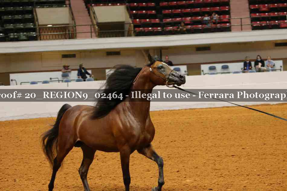 Proof 20_REGION9_02464
